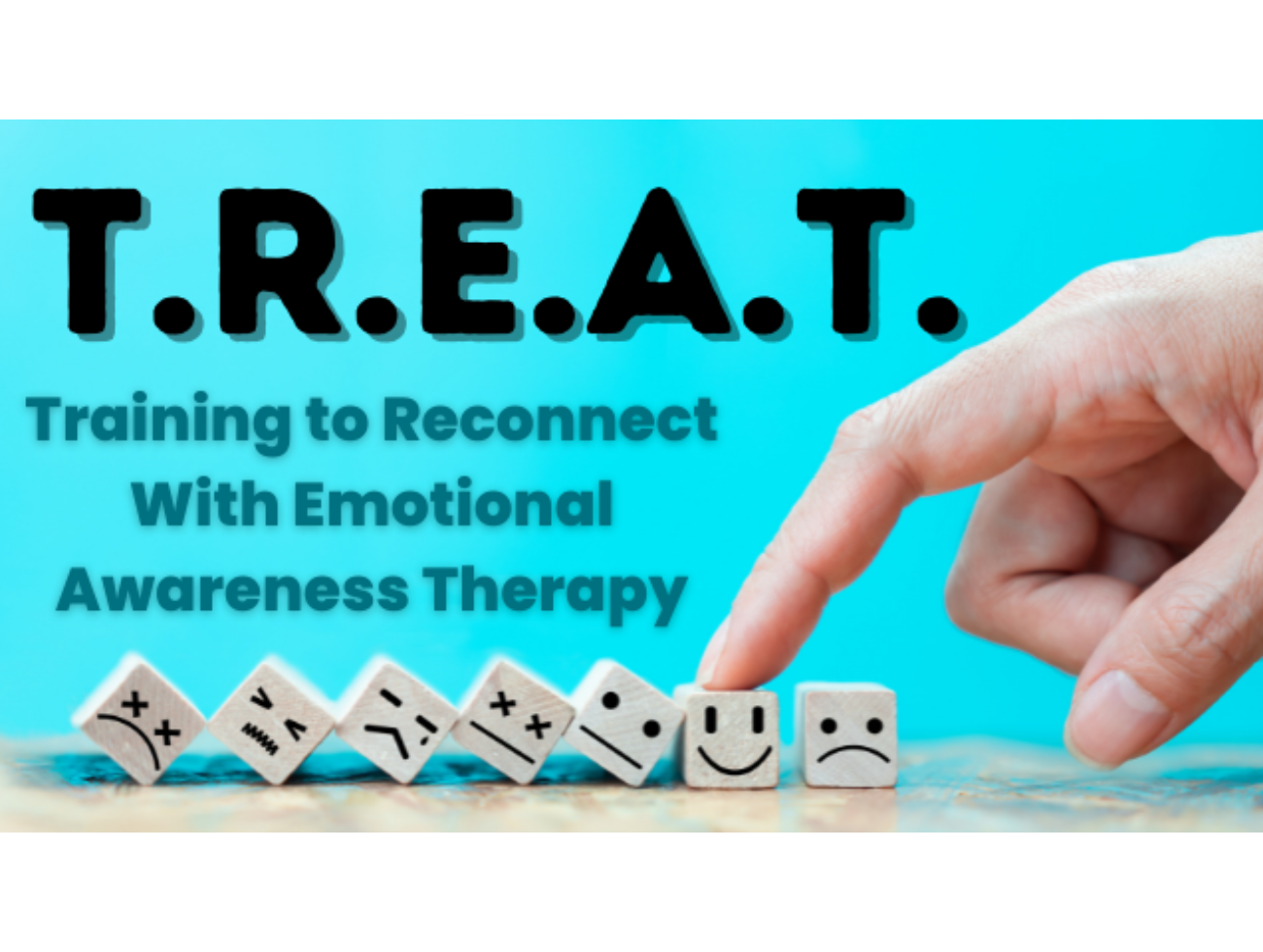 TREAT Website (1)